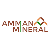logo_amnt
